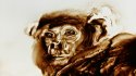 2012 : : Visage de d'animal, Singe : : Recherche pour un film : : (…)