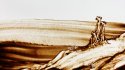 2010 - Dessin sur sable pour diaporama d'images