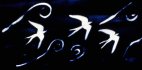 2017 - Souffle, live sand art musical show in Aosta