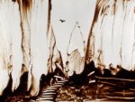 2009 - Live sand drawing, research {JPEG}